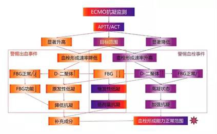 ECMO(專題一)(圖1) ECMO(專題一)(圖1)