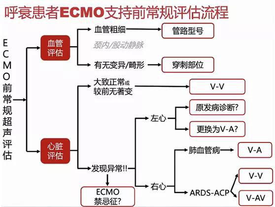 ECMO(專題三)(圖1) ECMO(專題三)(圖1)